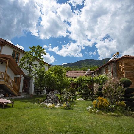 Villa Dihovo บิโตลา ภายนอก รูปภาพ